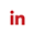 LinkedIn Icon